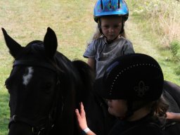 IMG_1318_web